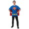 Rubies DC Comics Superheroes Superman Costume TShirt With Cape for Adults Mens Large