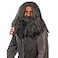 fun shack Gray Wig Wizard Beard and Wig Halloween Costumes For Men