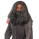 fun shack Gray Wig Wizard Beard and Wig Halloween Costumes For Men