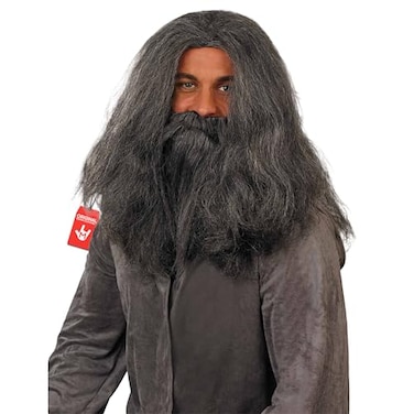 fun shack Gray Wig Wizard Beard and Wig Halloween Costumes For Men
