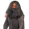 fun shack Gray Wig Wizard Beard and Wig Halloween Costumes For Men