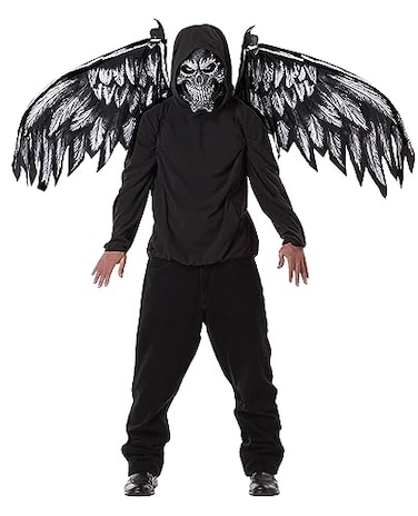 California Costumes Fallen Angel Mask and Wings Costume