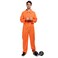 ReneeCho Mens Prisoner Costume Jail Bird Orange XLarge