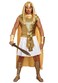 Dreamgirl mens Ramses Adult Sized Costume GoldWhite Medium US