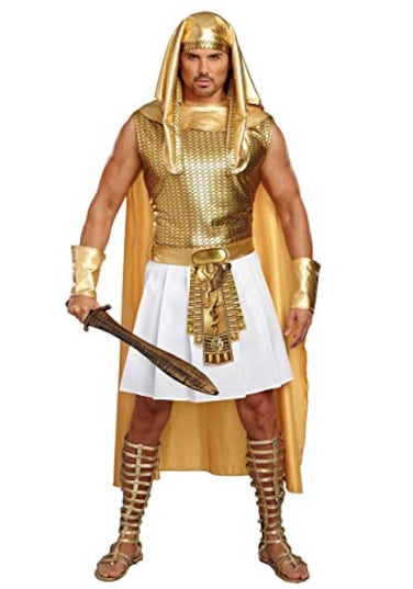 Dreamgirl mens Ramses Adult Sized Costume GoldWhite Medium US