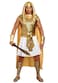 Dreamgirl mens Ramses Adult Sized Costume GoldWhite Medium US
