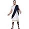California Costumes Grecian Toga whitenavy Mens Large