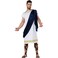 California Costumes Grecian Toga whitenavy Mens Large