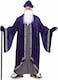 Rubies Grand Wizard Costume for Adults Mens Plus Purple