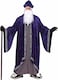 Rubies Grand Wizard Costume for Adults Mens Plus Purple