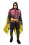 Rubies DC Arkham City Robin Costume for Adults Mens Medium
