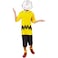 Rubies Peanuts Charlie Brown Costume and Mask for Adults Mens Large