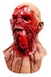 LEKA NEIL Horror Vampire Demon Mask Realistic Zombie Mask One Size Fits Most Ages 14 Blue