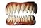 Dental Distortions Pennywise FX Fangs 20 Evil Teeth Dental Veneer Multi Adult