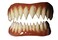 Dental Distortions Pennywise FX Fangs 20 Evil Teeth Dental Veneer Multi Adult