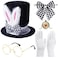 Hikkcos Rabbit Ear Hat 4PCS Easter White Rabbit Costume Set Includes Top Hat Rabbits Ears Topper Plush Hat Bow Tie Glasses Bunny Dress Up for Easter Halloween
