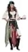 California Costumes Renaissance Fortune TellerPirate Adult Costume MediumMulti