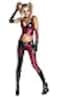 Rubies DC Arkham City Harley Quinn Costume for Adults Womens Small