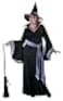 California Costumes Plus Size Glamour Witch Incantasia Costume Size 1X 2X 3X 3X