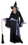 California Costumes Plus Size Glamour Witch Incantasia Costume Size 1X 2X 3X 3X