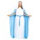 Fun World Womens Costumes Adult Mary Whiteheather Lake Blue Plus