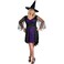 Disguise Womens My Brilliantly Bewitched Women Plus Size Costume Black XLarge