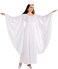 Rubies Angel Deluxe Costume for Adults Womens Plus