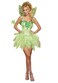 Dreamgirl Womens FairyLicious Green Large