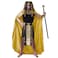 DSplay Men Egyptian Costume Cosplay Adult Pharaoh Halloween Party