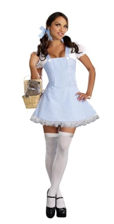 Dreamgirl Gingham Dress Light Blue XLarge