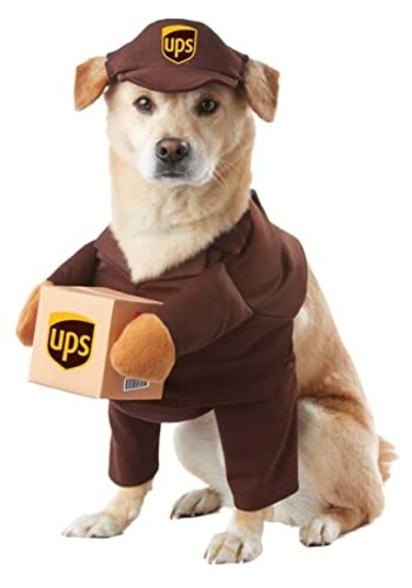 California Costumes UPS Pal Dog Costume Medium