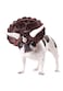 California Costumes Triceradog Dog Costume Large