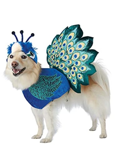 California Costumes Pretty as a Peacock Pet Costume XSmall