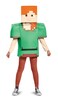 Disguise Alex Classic Minecraft Costume Multicolor Medium 78