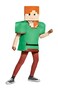 Disguise Alex Classic Minecraft Costume Multicolor Medium 78