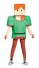 Disguise Alex Classic Minecraft Costume Multicolor Medium 78