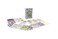 Floodgate Games Sagrada Glory Expansion Board Game