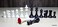StonKraft Tournament Chess Pieces with Two Extra Queens Chessmen Staunton Coins 375 Inch King Height 650 Grams