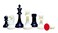 StonKraft Tournament Chess Pieces with Two Extra Queens Chessmen Staunton Coins 375 Inch King Height 650 Grams