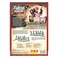 Modiphius Entertainment Fallout Factions Battle for NukaWorld Starter Set Tabletop Miniatures Skirmish Game Licensed War Game 20 Miniatures