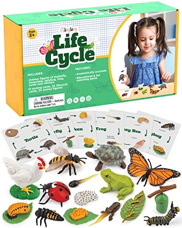 GLINGLONG Life Cycle Animal Kit Montessori Science Toy with 24Piece Matching Game Butterfly Frog Chicken Bee Ladybug and Turtle STEM Educational Gift Easter Basket fillers for Kids Ages 38