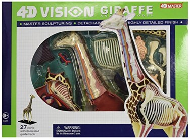 Famemaster 4D Vision Giraffe Anatomy Model 145 inches