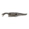 Schleich Dinosaurs Large Dinosaur Toys for Boys and Girls Realistic Nothosaurus Toy Figurine Ages 4