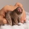 Schleich Wild Life Wild Animal Toy Japanese Macaque Figurine Kids and Toddlers Ages 3