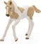 Schleich Horse Club Paint Horse Foal Realisic Animals for Kids Ages 5