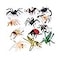 U. S. Toy U S Toy Toy 2378 Mini Insects 1Pack of 12