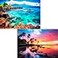 Edsjegn 2 Pack 1000 Piece Puzzles for Adults Beach Coconut Tree Reef Landscape Jigsaw Puzzles 2000 Pieces Total