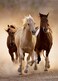 Clementoni Running Horses Puzzle 1000Piece