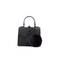 ALDO Womens Regular Jerilini Top Handle Bag BlackBlack