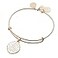 Alex and Ani Be the Light Charm Bangle